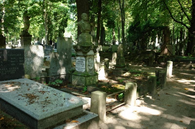 Zdjęcie grobu Władysław Nowicki (1)