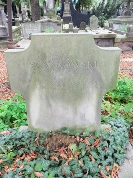 Zdjęcie grobu Adam Bichniewicz (2)