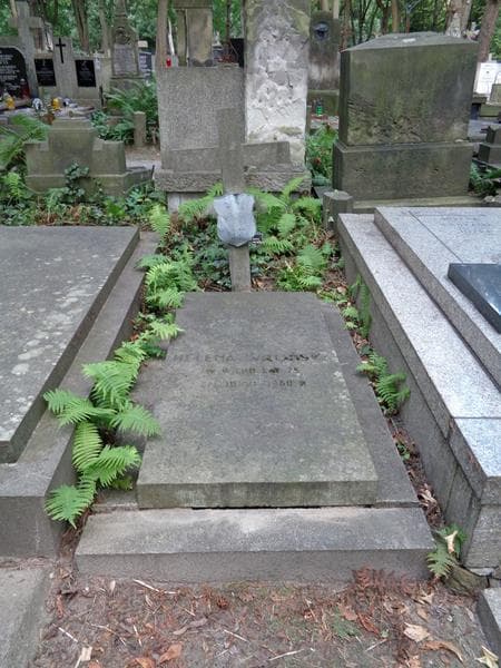 Zdjęcie grobu Helena Wrońska (1)
