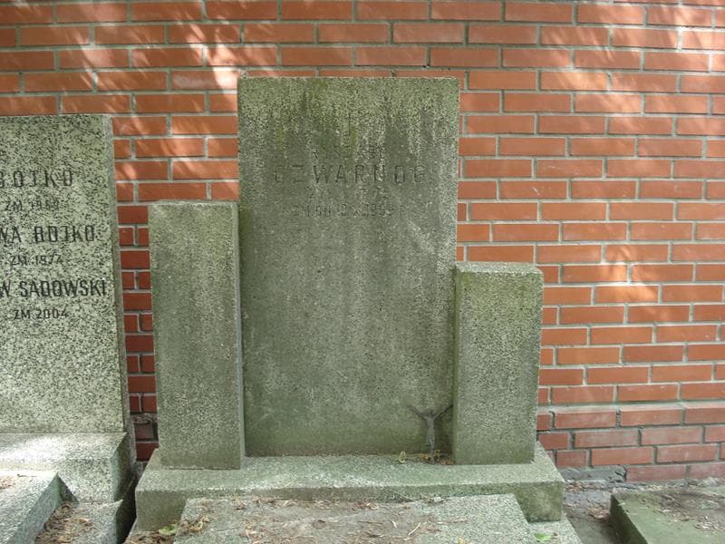 Zdjęcie grobu Ryszard Czwarnog (2)