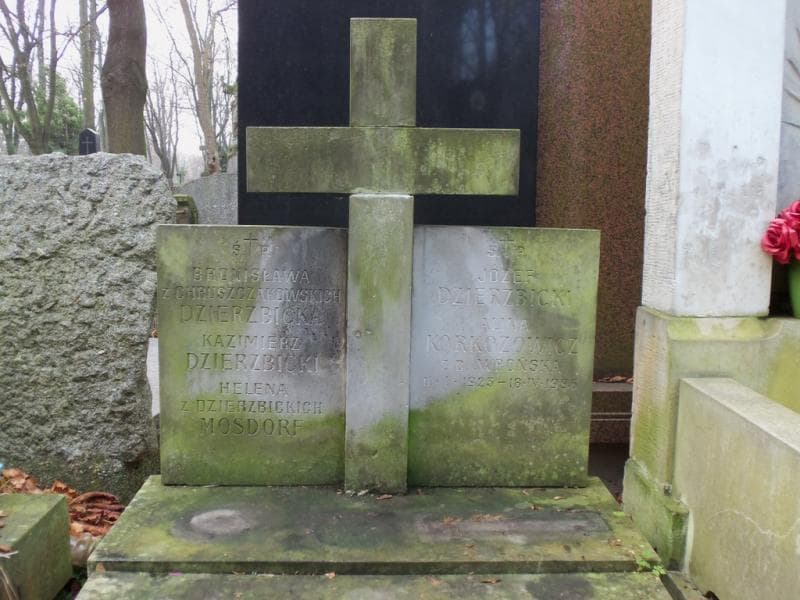Zdjęcie grobu Bronisława Dzierzbicka (2)