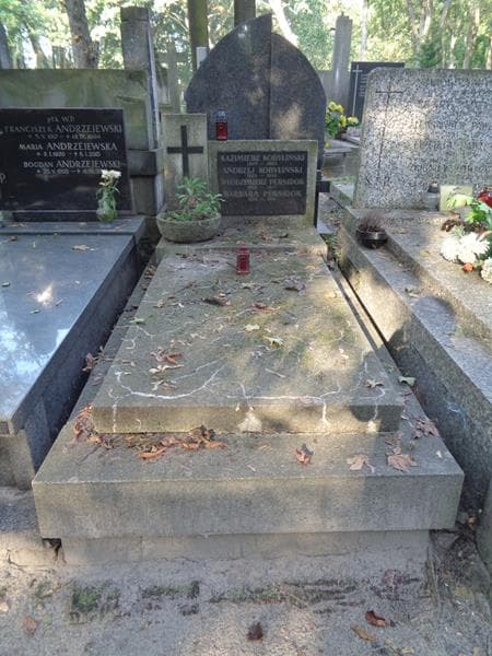 Zdjęcie grobu Andrzej Kobyliński (1)
