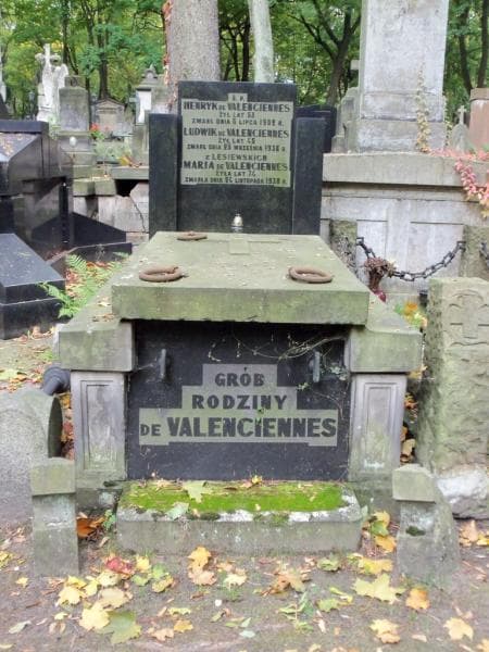Zdjęcie grobu: Henryk De Valenciennes