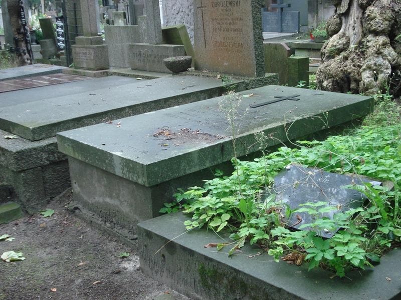 Zdjęcie grobu Helena Domańska (2)