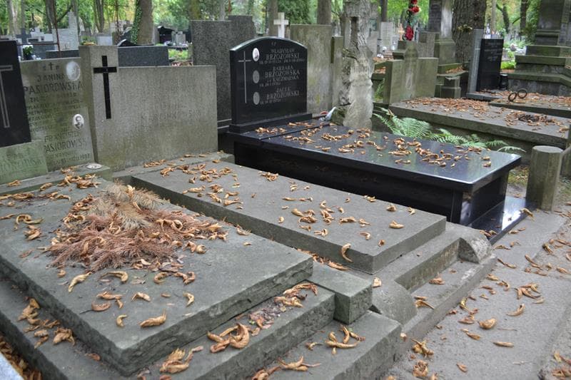 Zdjęcie grobu: Teodozja Marcinkowska