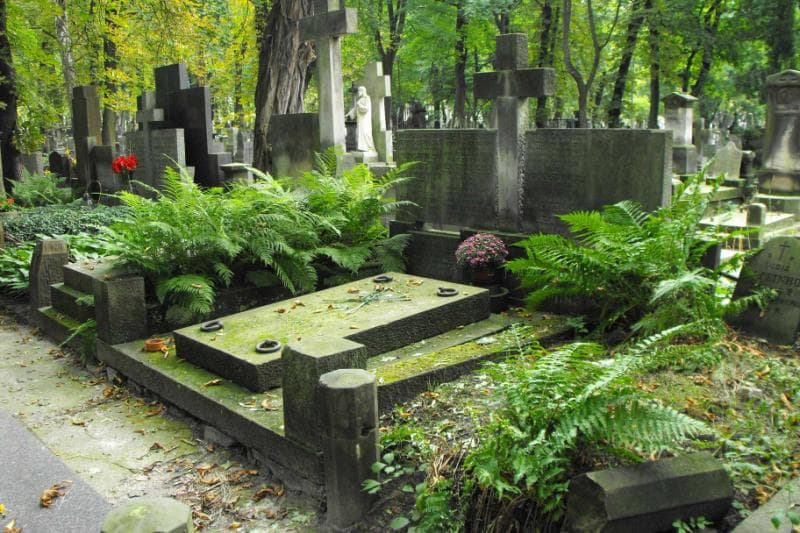Zdjęcie grobu Maria Horska-Szpyrkówna (1)