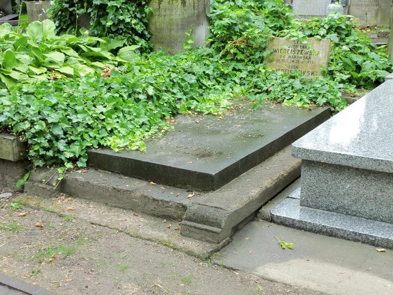 Zdjęcie grobu Makowscy (1)