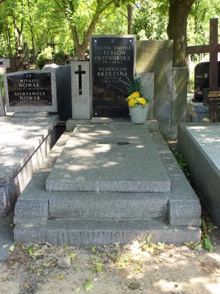 Zdjęcie grobu: Władysław Brzezina