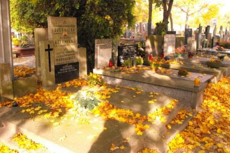 Zdjęcie grobu Stanisława Czernicka (1)