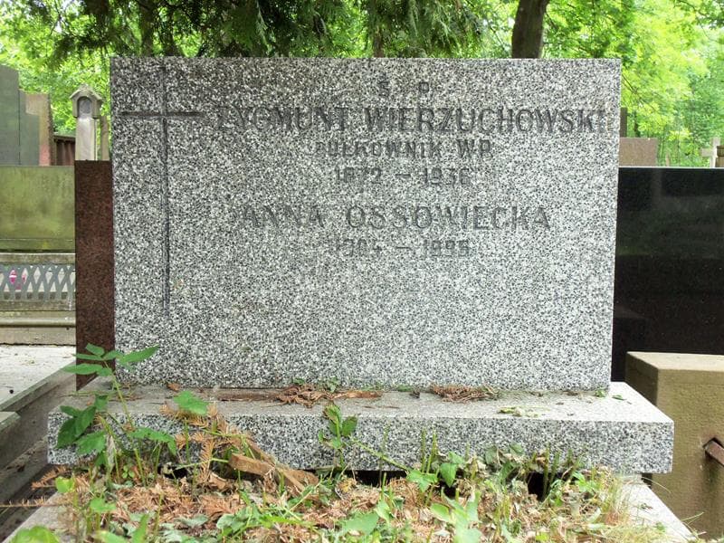 Zdjęcie grobu Anna Ossowiecka (2)