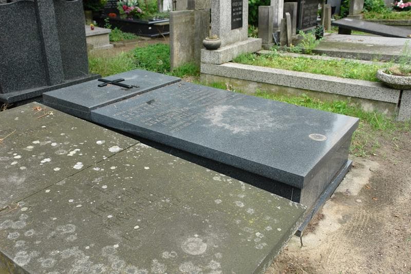 Zdjęcie grobu Władysław Dytel (2)
