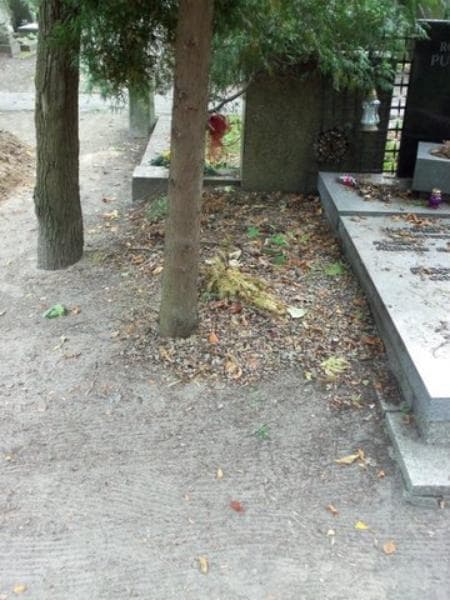 Zdjęcie grobu: Pole Grobowe