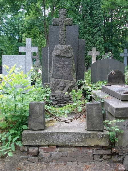 Zdjęcie grobu Aleksander Białobrzeski (1)
