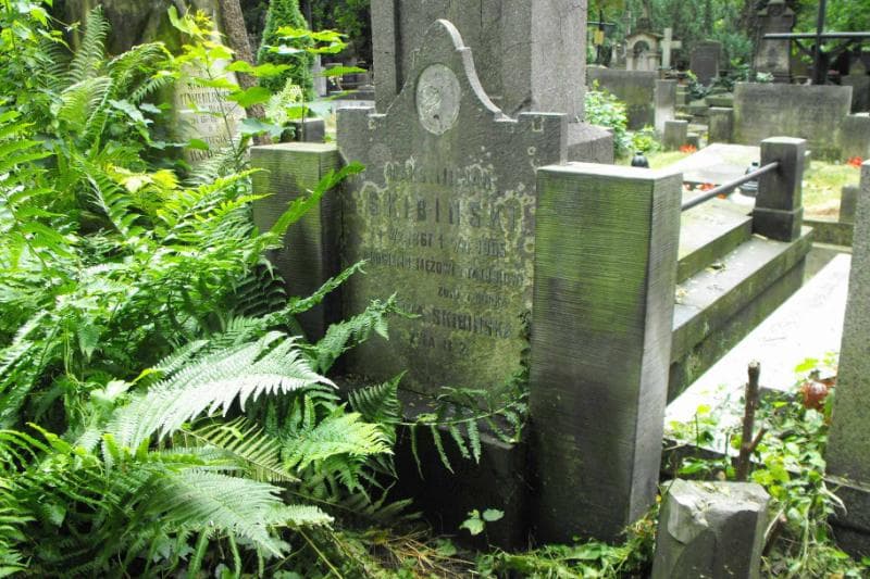 Zdjęcie grobu Robuś Tomaszewski (2)