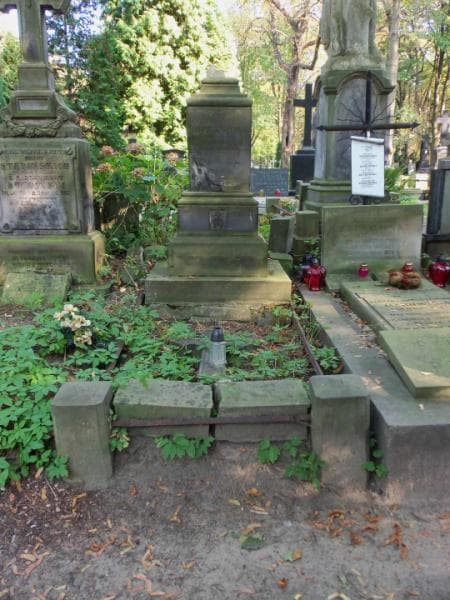 Zdjęcie grobu: Wacław Lubicz Miszewski