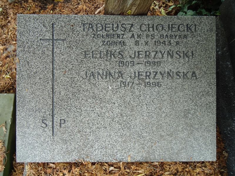 Zdjęcie grobu Feliks Jerzyński (2)