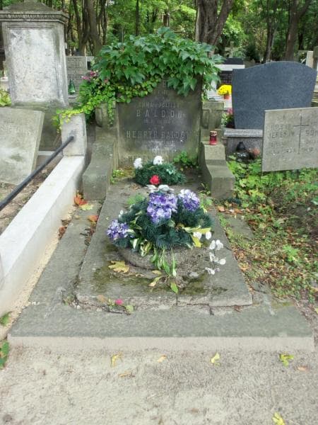 Zdjęcie grobu: Henryk Baldow