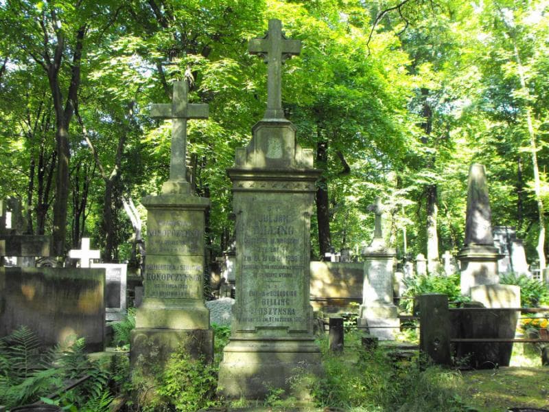 Zdjęcie grobu Emilja Uszyńska (2)