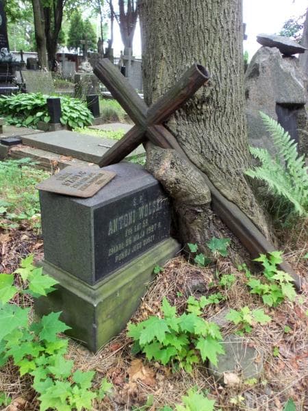 Zdjęcie grobu Antoni Wolski (2)
