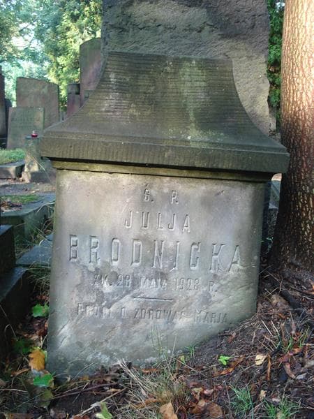 Zdjęcie grobu Julja Brodnicka (2)