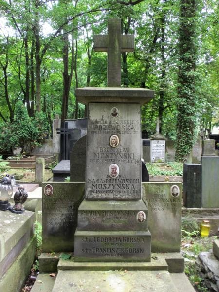 Zdjęcie grobu Franciszek Górski (2)