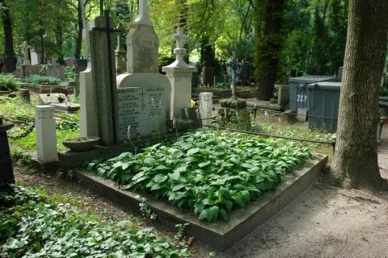 Zdjęcie grobu Leopold Burakowski (1)