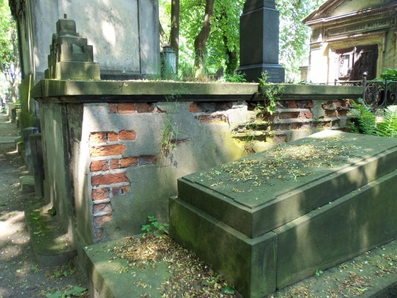 Zdjęcie grobu Dąbkowscy (2)