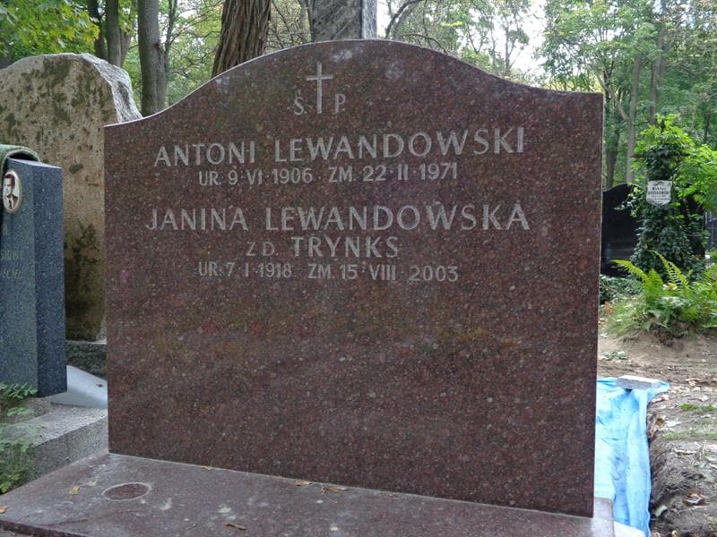 Zdjęcie grobu Janina Lewandowska (2)