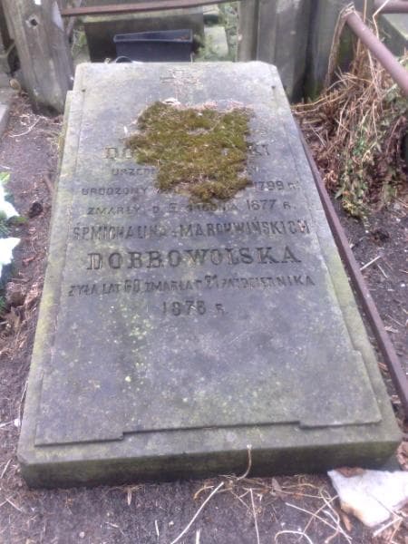 Zdjęcie grobu Antoni Dobrowolski (1)