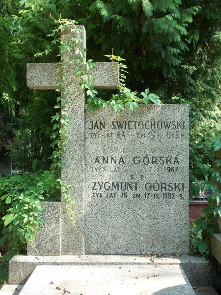 Zdjęcie grobu Anna Górska (2)