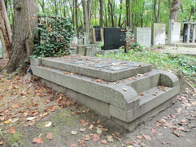 Zdjęcie grobu Eleonora Biczel (2)