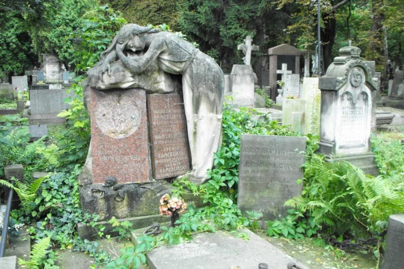 Zdjęcie grobu Ludwik Hamerliński (1)