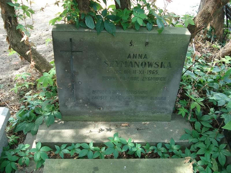 Zdjęcie grobu Jadwiga Paudyn (2)