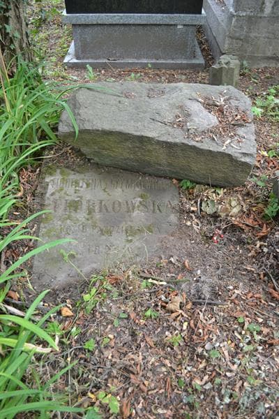 Zdjęcie grobu Florentyna Florkowska (1)