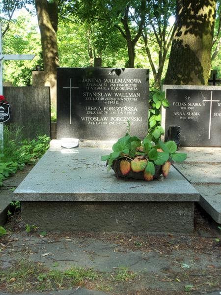 Zdjęcie grobu: Stanisław Wallman