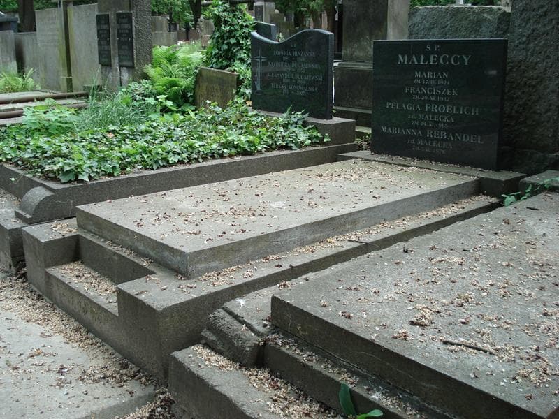 Zdjęcie grobu Pelagia Froelich (1)