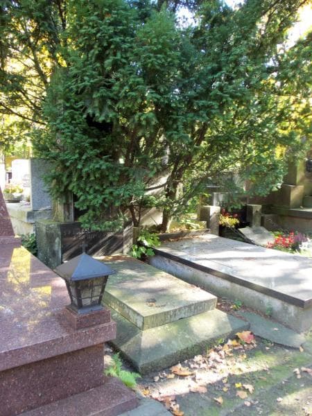 Zdjęcie grobu Bolesław Walkiewicz (1)