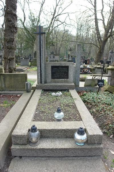 Zdjęcie grobu: Mieczysław Baszniak