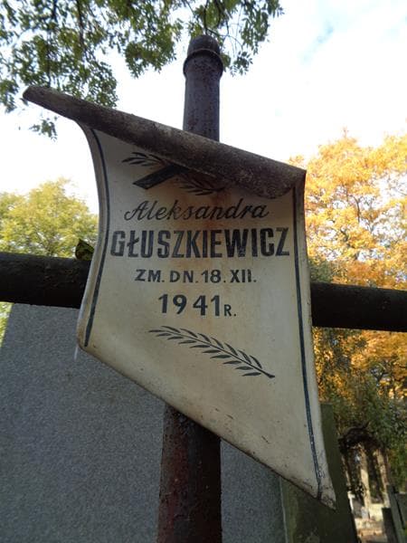 Zdjęcie grobu Aleksandra Głuszkiewicz (2)