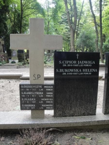 Zdjęcie grobu Kazimiera Iwańska (1)