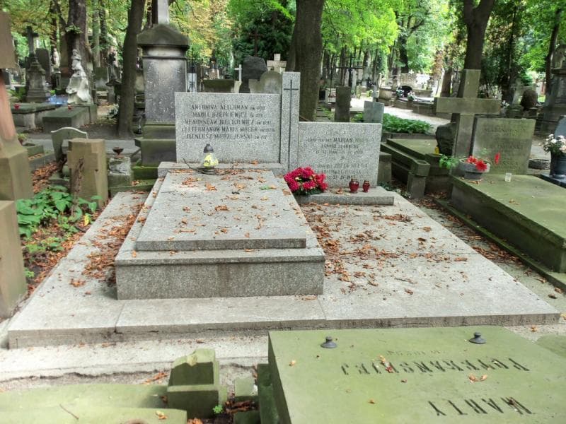 Zdjęcie grobu Antonina Alterman (1)