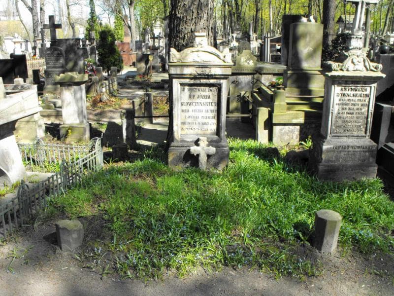 Zdjęcie grobu: Józef Główczyński