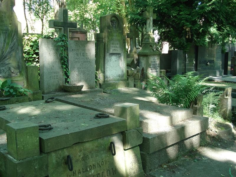 Zdjęcie grobu Roch Tadeusz Nicz (1)