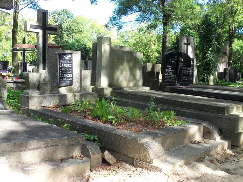Zdjęcie grobu Hanna Janusz (1)