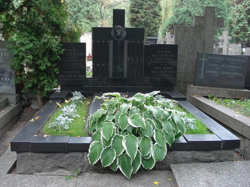 Zdjęcie grobu Anna Halina Olszewska (1)