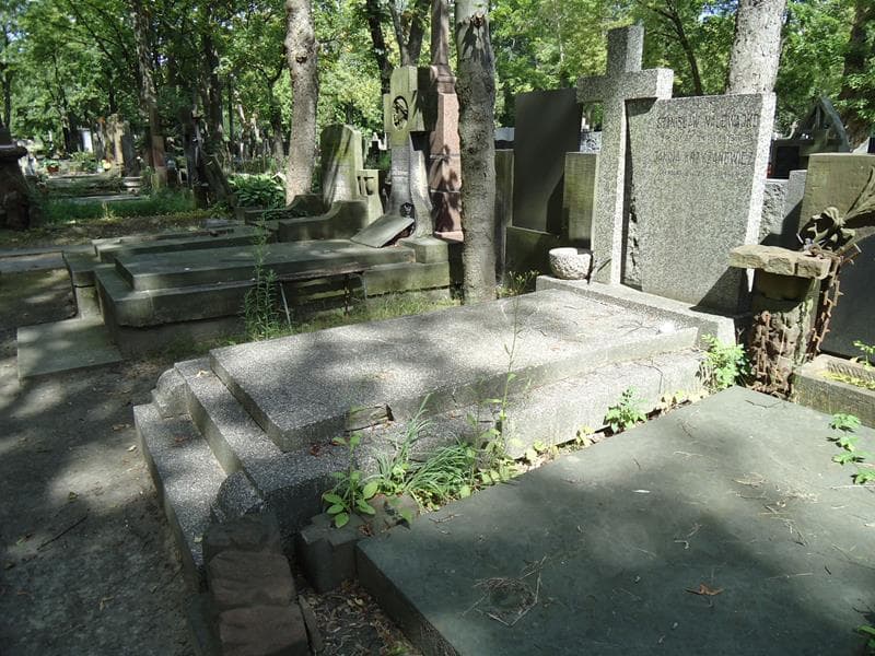 Zdjęcie grobu Janina Krzyżanowicz (1)