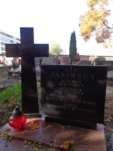 Zdjęcie grobu Stefanek Jasiński (2)