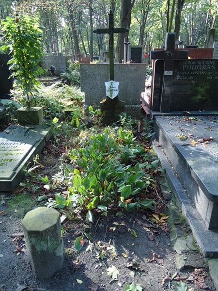 Zdjęcie grobu: Antoni Adamowski