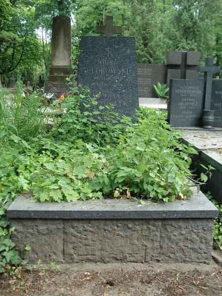 Zdjęcie grobu: Witold Cedrowski