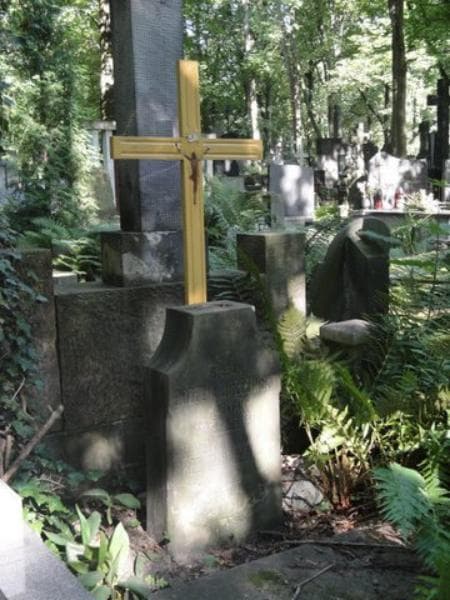 Zdjęcie grobu Barbara Brzezia - Brzezińska (2)